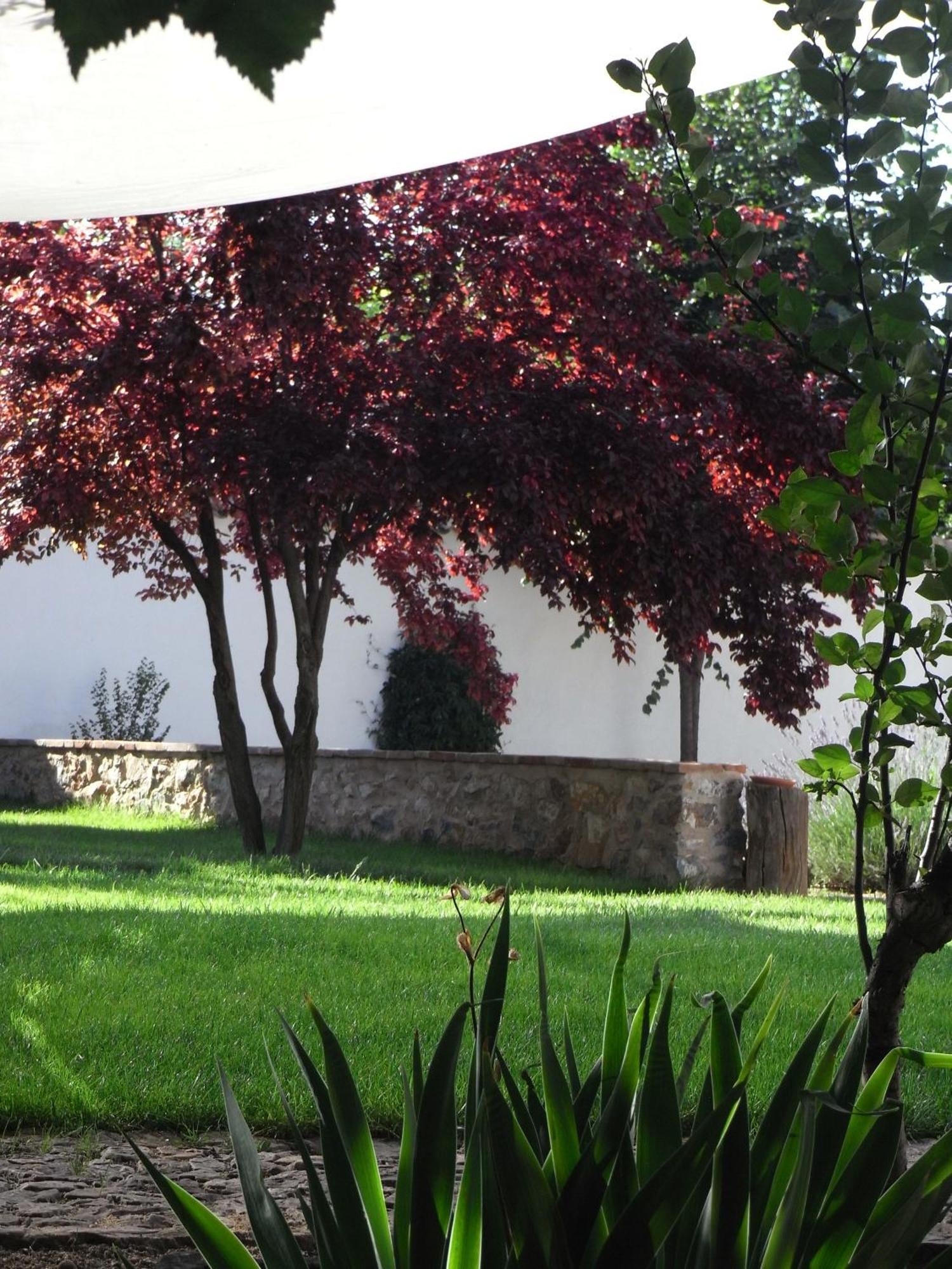 Casa Rural La Alameda Мадридехос Екстериор снимка