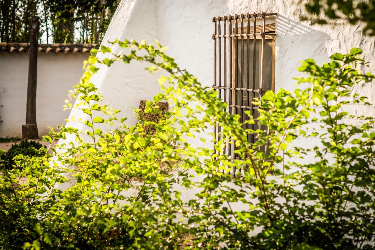Casa Rural La Alameda Мадридехос Екстериор снимка